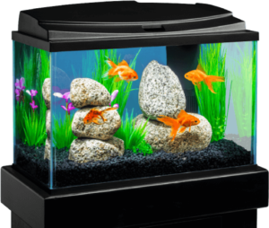 Wireless Power through Water